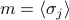 m = langle sigma_j rangle